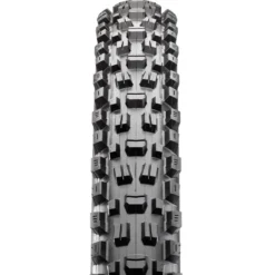 Assegai EXO+ TR MTB-Reifen (29