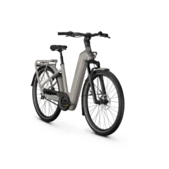 Image 5+ Move RT E-Bike City Bike Tiefeinsteiger 29