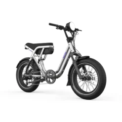 OG200 E-Bike Kompakt Lastenrad 20
